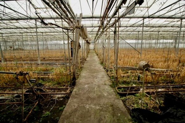 Medium property photo - Achterdiep Noordzijde, 9611 BT Sappemeer